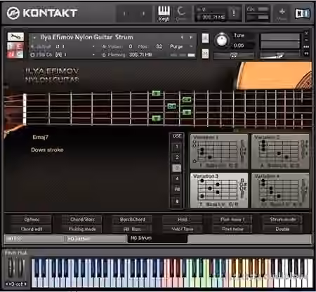 Ilya Efimov Nylon Strum [KONTAKT]