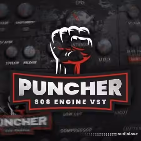 Industry Kits Puncher 808 Engine VST v1.0 [WiN, MacOSX]