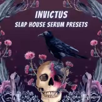 Infinity Audio Invictus Slap House [Synth Presets]