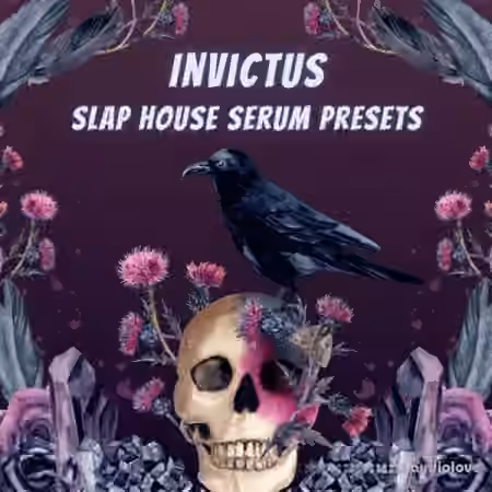 Infinity Audio Invictus Slap House [Synth Presets]