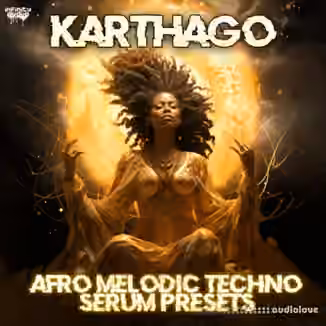 Infinity Audio Karthago Afro Melodic Techno Serum Presets [Synth Presets]