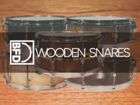 inMusic Brands BFD Wooden Snares [BFD3]