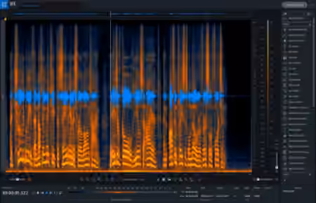 iZotope RX Pro for Music v9.1.0 [WiN]