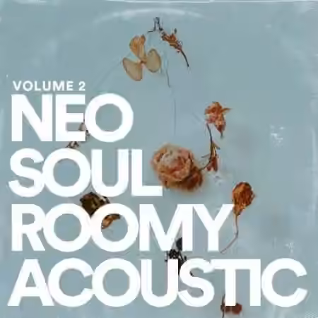 Jake Fine Neo Soul Guitar Sauce Vol.2 Roomy Acoustic [WAV]