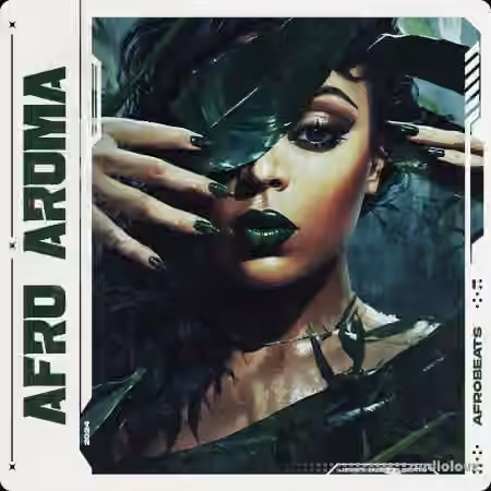 Jerry Martin Beats Afro Aroma [WAV, MiDi]