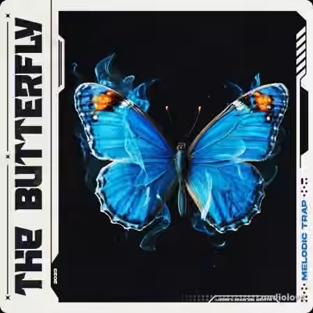 Jerry Martin Beats Butterfly [WAV, MiDi]