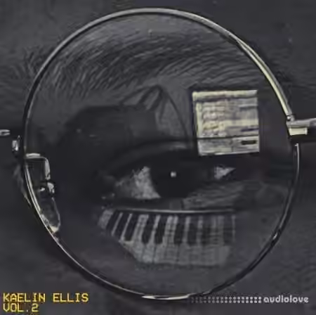 Kaelin Ellis Vol.2 Chords and Melodies [WAV]