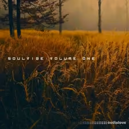 KAN Samples Soulvibe Vol.1 [WAV]