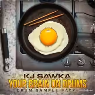KJ Sawka Your Brain on Drums [WAV, Synth Presets]