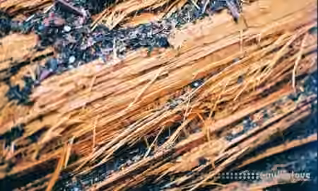 KOAN Sound Sample Giveaway: Foley Pack 02 [WAV]