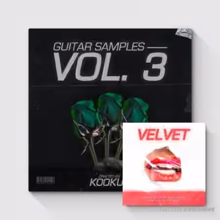 KOOKUP Guitar Samples Vol.3 [ Full ] [WAV]