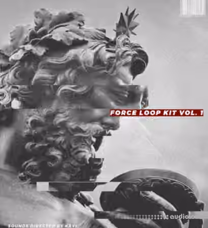 KXVI Force Sample Loops Kit [WAV]