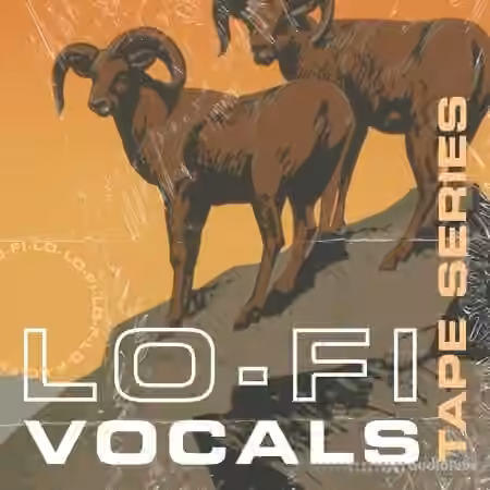 Lazerdisk Tape Series Lo-Fi Vocals [WAV]