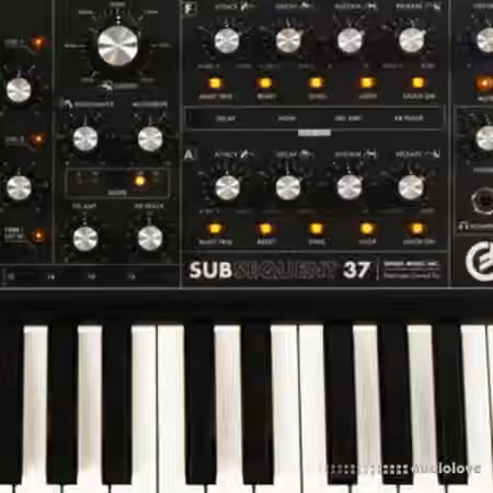 Looma Moog Sub37 Oneshot Sample Pack [WAV] - Sample Pack Artwork