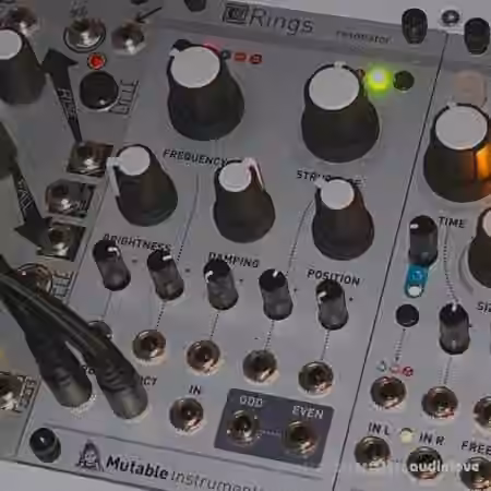 Looma Mutable Instruments Rings Oneshot Sample Pack [WAV] - Sample Pack Artwork