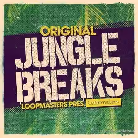Loopmasters Original Jungle Breaks [MULTiFORMAT]