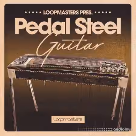 Loopmasters Pedal Steel Guitar [MULTiFORMAT]