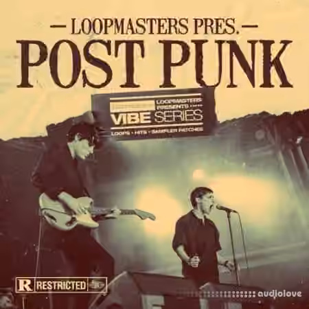 Loopmasters VIBES 13 Post Punk [WAV, REX]