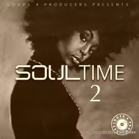 Loops 4 Producers Soul Time 2 [WAV]