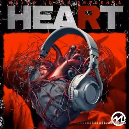 Major Loops Heart Beats [WAV]