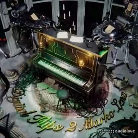 Marko Lenz Digital Flips Vol.2 [WAV, Synth Presets]