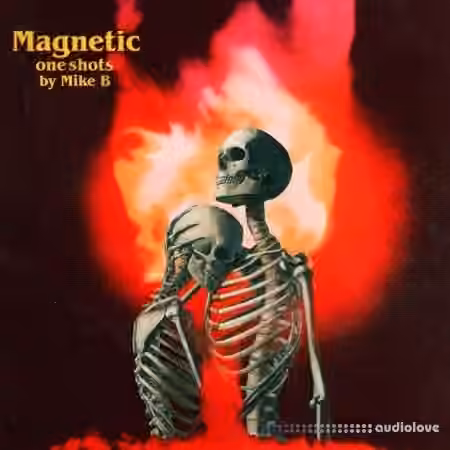 Mike B Magnetic (One Shot Library) [WAV]