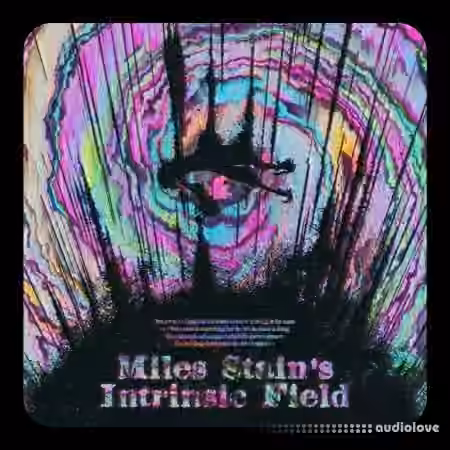 Miles Stain Intrinsic Field (Analog Lab V Bank) [Synth Presets]