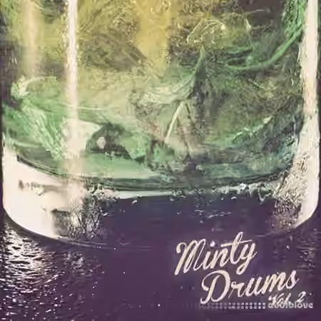Minty Drums and Percussion Vol.2 [WAV]