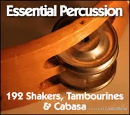 MPC-Samples Essential Percussion [WAV]