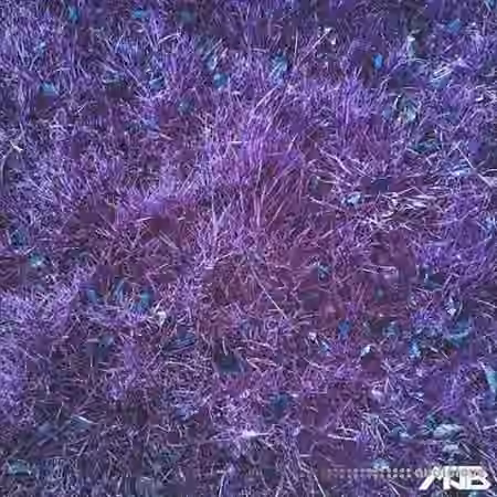 MrJonnyBatch Tribal House [WAV]