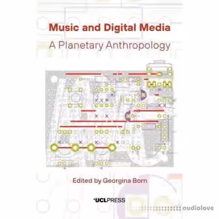 Music and Digital Media : A Planetary Anthropology