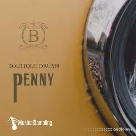 Musical Sampling Boutique Drums Penny [KONTAKT]