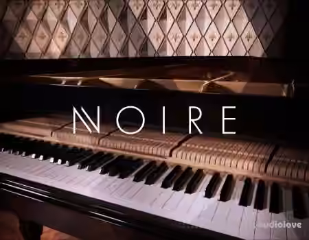 Native Instruments Noire v1.2.1 [KONTAKT]