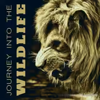 Nature Sounds Journey Into the Wildlife Collection of Various Nature Sounds Effects [FLAC]