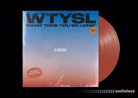 NES What Took You So Long [WAV]