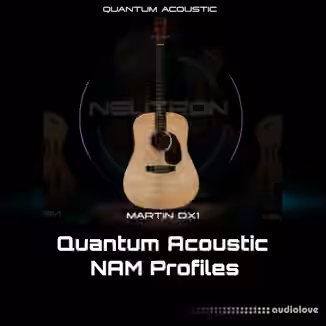 Neutron Studios Martin DX1 NAM PROFILES [Synth Presets]