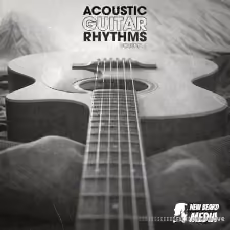 New Beard Media Acoustic Guitar Rhythms Vol 4 [WAV]