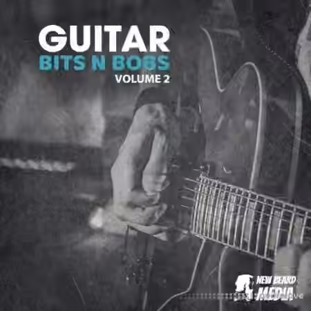 New Beard Media Guitar Bits N Bobs 2 [WAV]