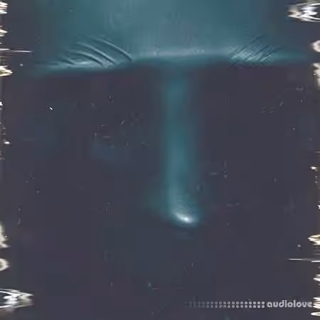 Noiiz Nicolo Sommer Obscure Organisms [WAV]