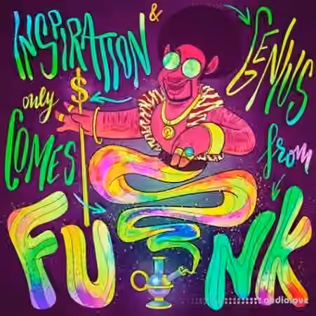 Noiiz Funk Genius [WAV]