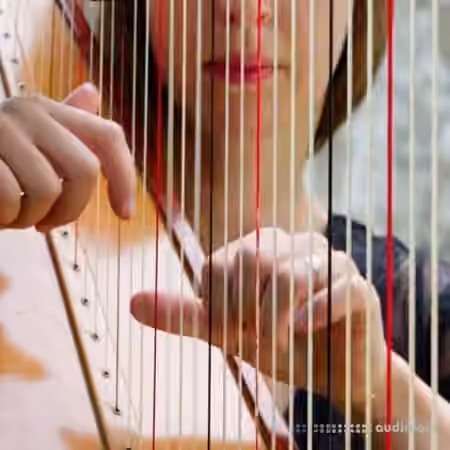 noiiz Harmonious Harps by Aur0ra [WAV]