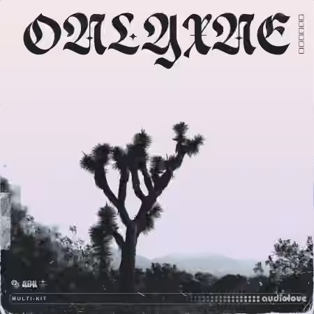 Onlyxne 808 Mafia Multi-Kit 0002 [WAV, Synth Presets]
