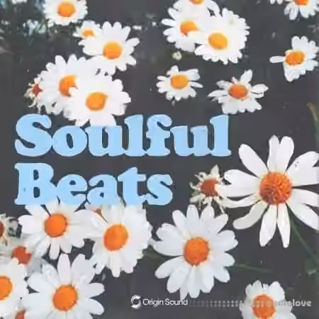 Origin Sound Soulful Beats [WAV, Synth Presets]