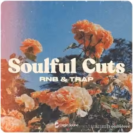 Origin Sound Soulful Cuts [WAV, Synth Presets]