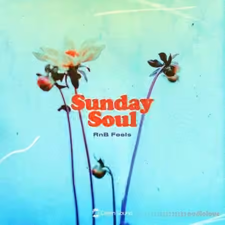 Origin Sound Sunday Soul [WAV, Synth Presets]
