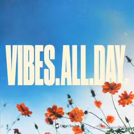 Origin Sound VIBES. ALL. DAY. [WAV]