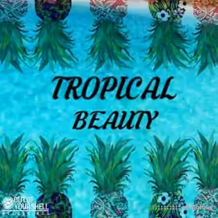 Out Of Your Shell Sounds Tropical Beauty [WAV, MiDi]