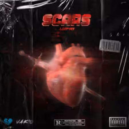 Panndi x Vako Scars (Full Version) [WAV]