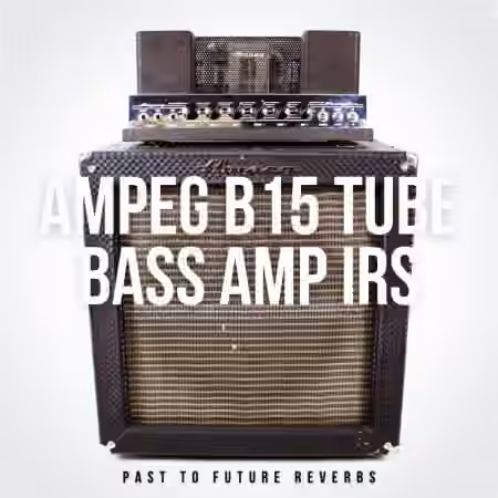 PastToFutureReverbs Ampeg B15 Tube Bass Amp IR's!