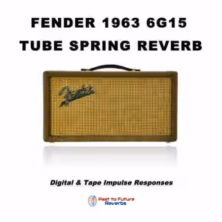 PastToFutureReverbs Fender 1963 6G15 Tube Spring Reverb!